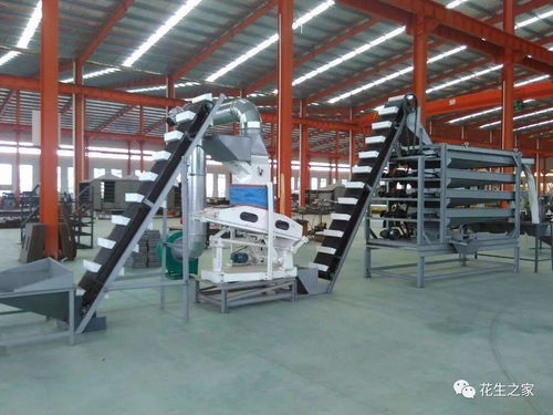 青島楓林花生機械 專業(yè)機械設備，驅動產(chǎn)業(yè)升級